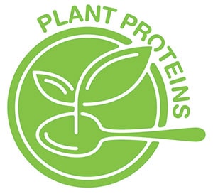 Plant protein